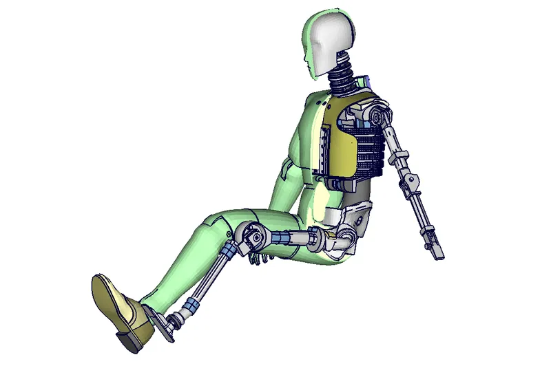 H350 Querschnitt + Skelett