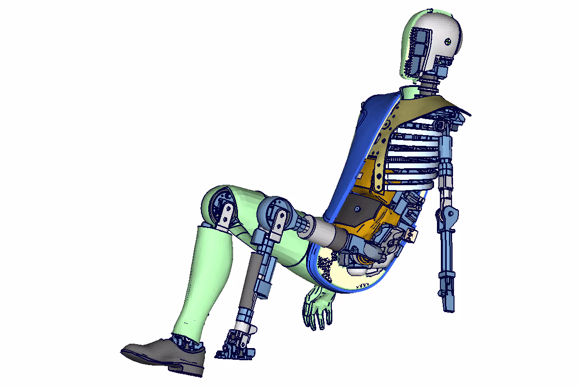 THOR TH50 Querschnitt + Skelett