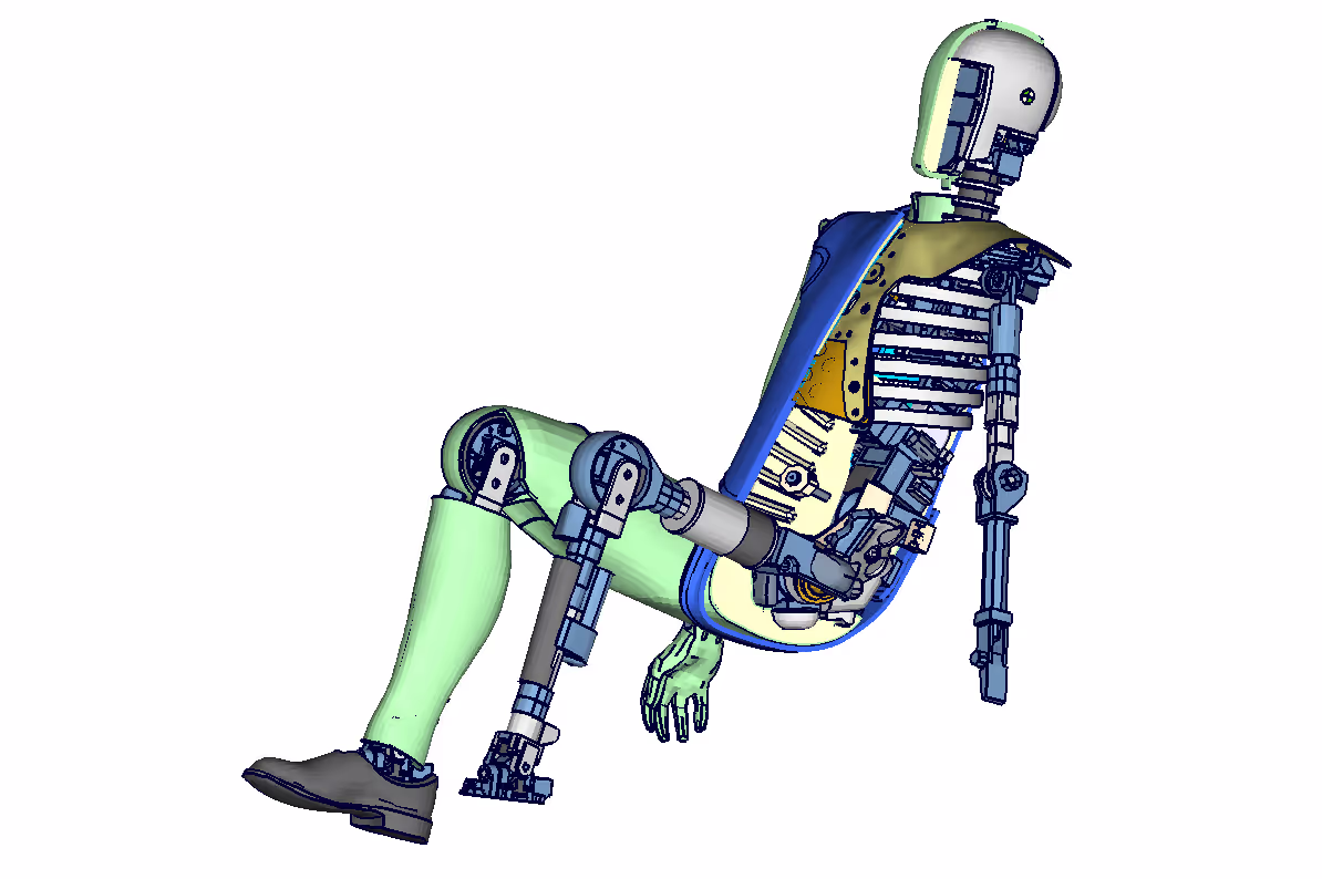 THOR TH50RS Querschnitt + Skelett